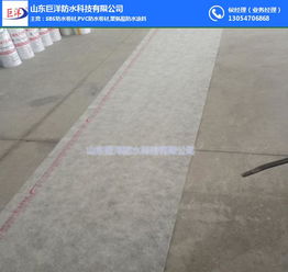 山东巨洋防水 聚乙烯丙纶防水卷材 杭州丙纶防水卷材