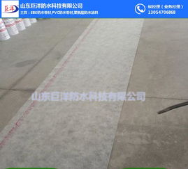 山东巨洋防水 丙纶防水卷材价格 无锡丙纶防水卷材