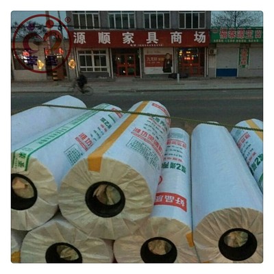 荣圣国标1000g高分子聚乙烯丙纶耐根穿刺防水卷材绿色植物花园补漏防水材料图片_高清图_细节图-寿光市耀荣防水材料厂