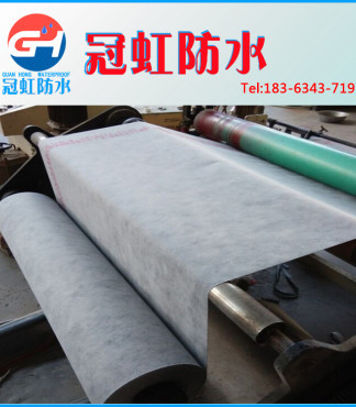 【设有单独防老层聚乙烯丙纶防水卷材1.2mm/800g地下室隧道等建筑物防水_聚乙烯价格|图片】-